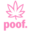 65600eb37f40029748474994_poof - logo + typemark